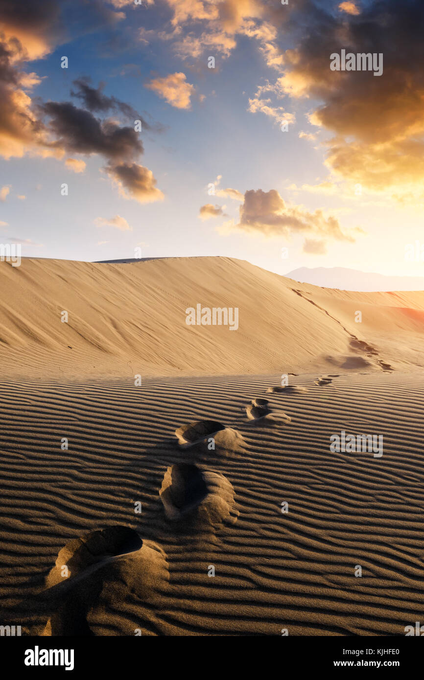 Fußabdrücke auf Sand in der Wüste Stockfoto