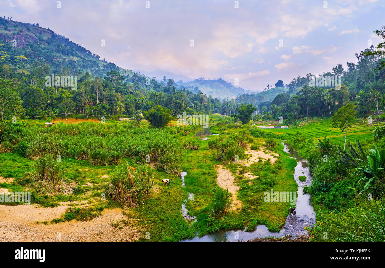 Der Abend im Hochland von Sri Lanka - die Berghänge sind mit Dschungel bedeckt und das Tal von badulu Oya River ist mit agricu belegt Stockfoto