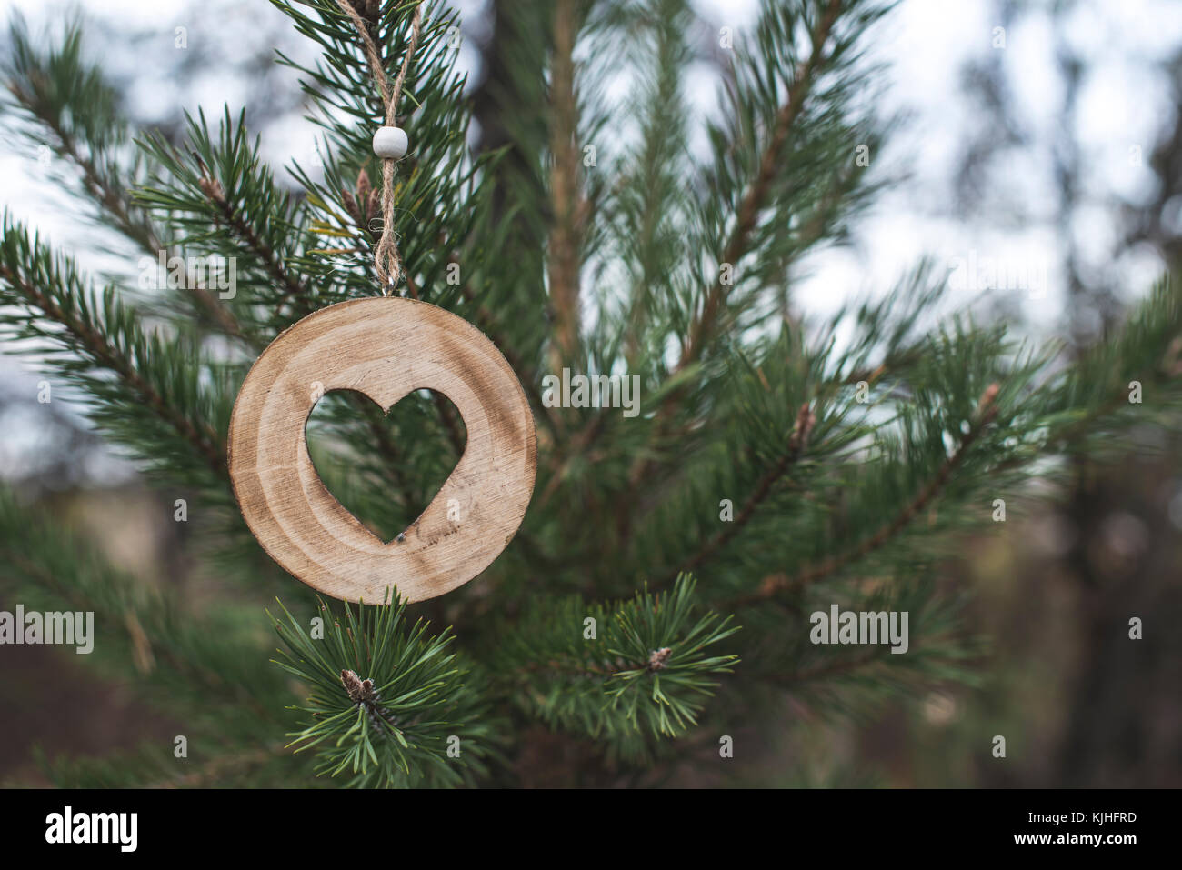 Holz- Herz Form auf Tanne im Wald Stockfoto