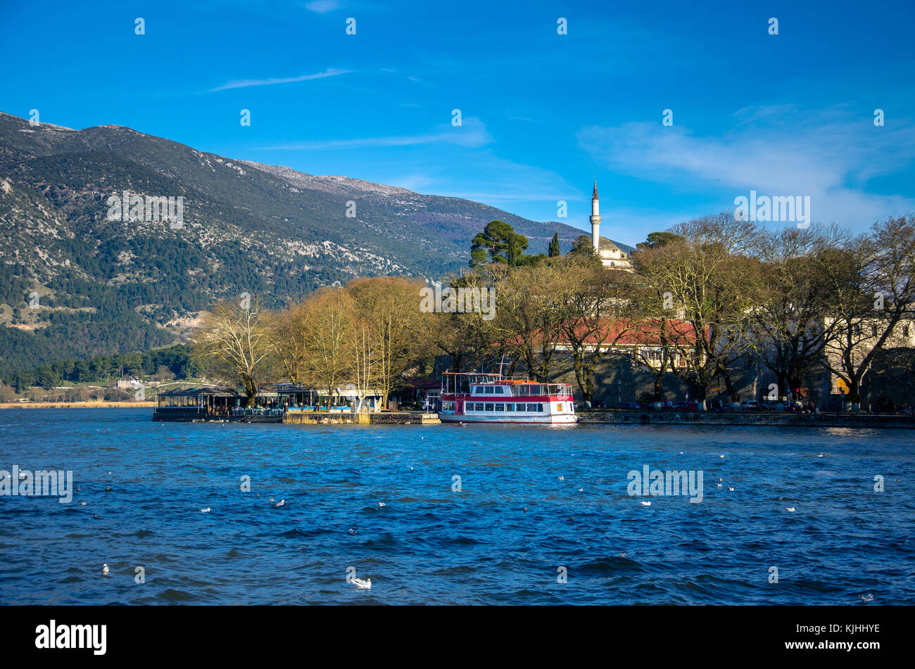 Stadt Ioannina in Griechenland. Blick auf den See und die Moschee von aslan Pasa cami mit Möwen und Schwäne. Stockfoto
