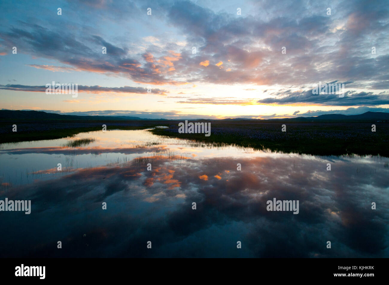 Sonnenuntergang über hundertjährigen Marsh Idaho Stockfoto