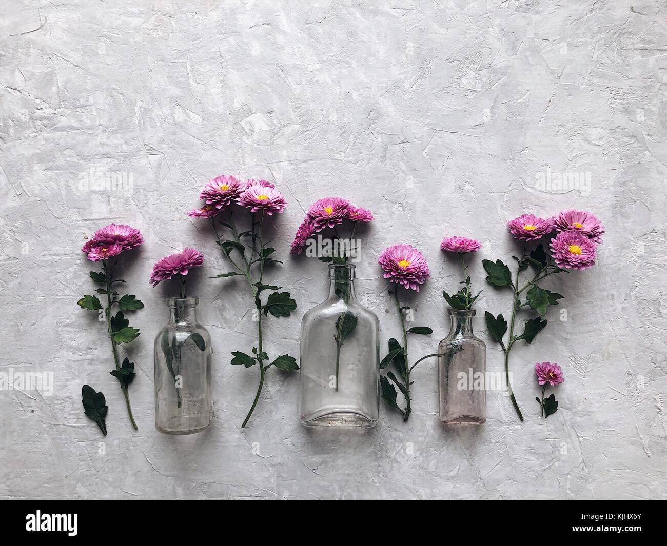 Rosa Chrysanthemen Blumen und Glas Vasen Stockfoto