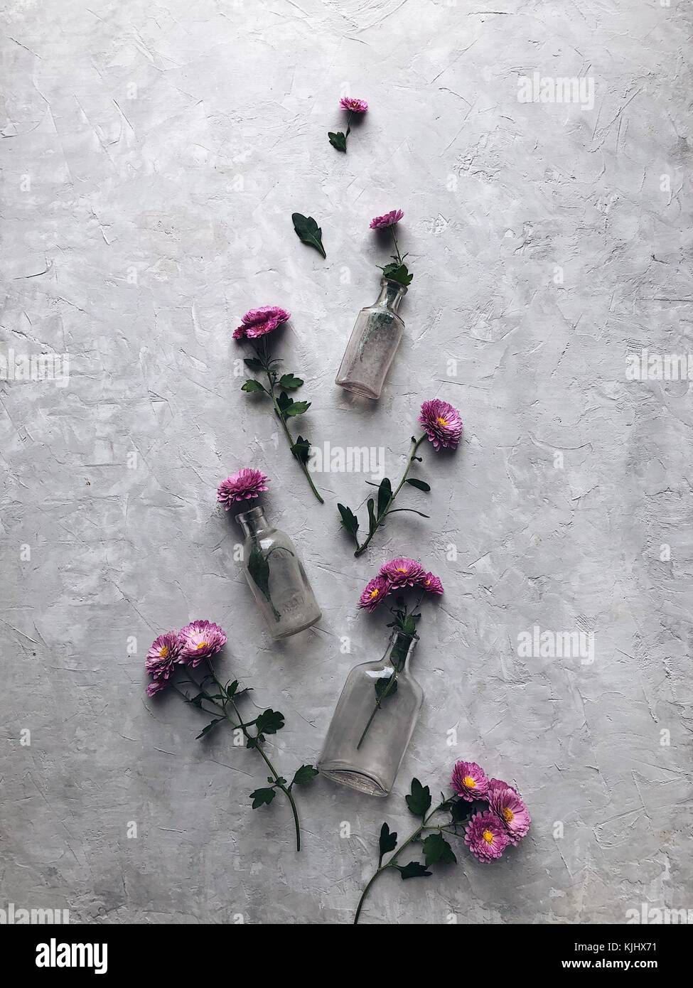 Rosa Chrysanthemen Blumen und Glas Vasen Stockfoto