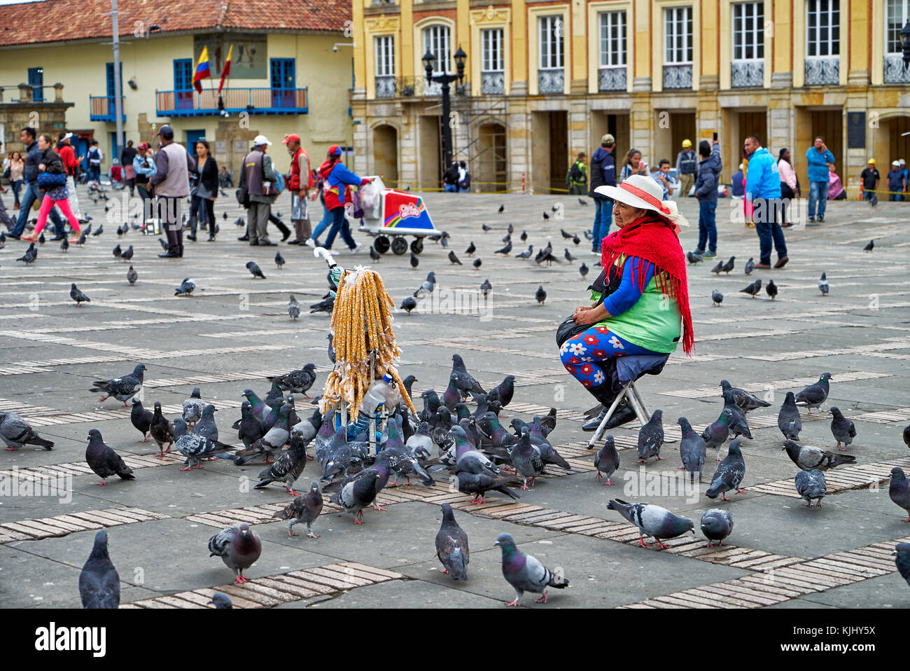 Frau verkaufen Taube feed an der Plaza de Bolivar, Bogota, Kolumbien, Südamerika Stockfoto