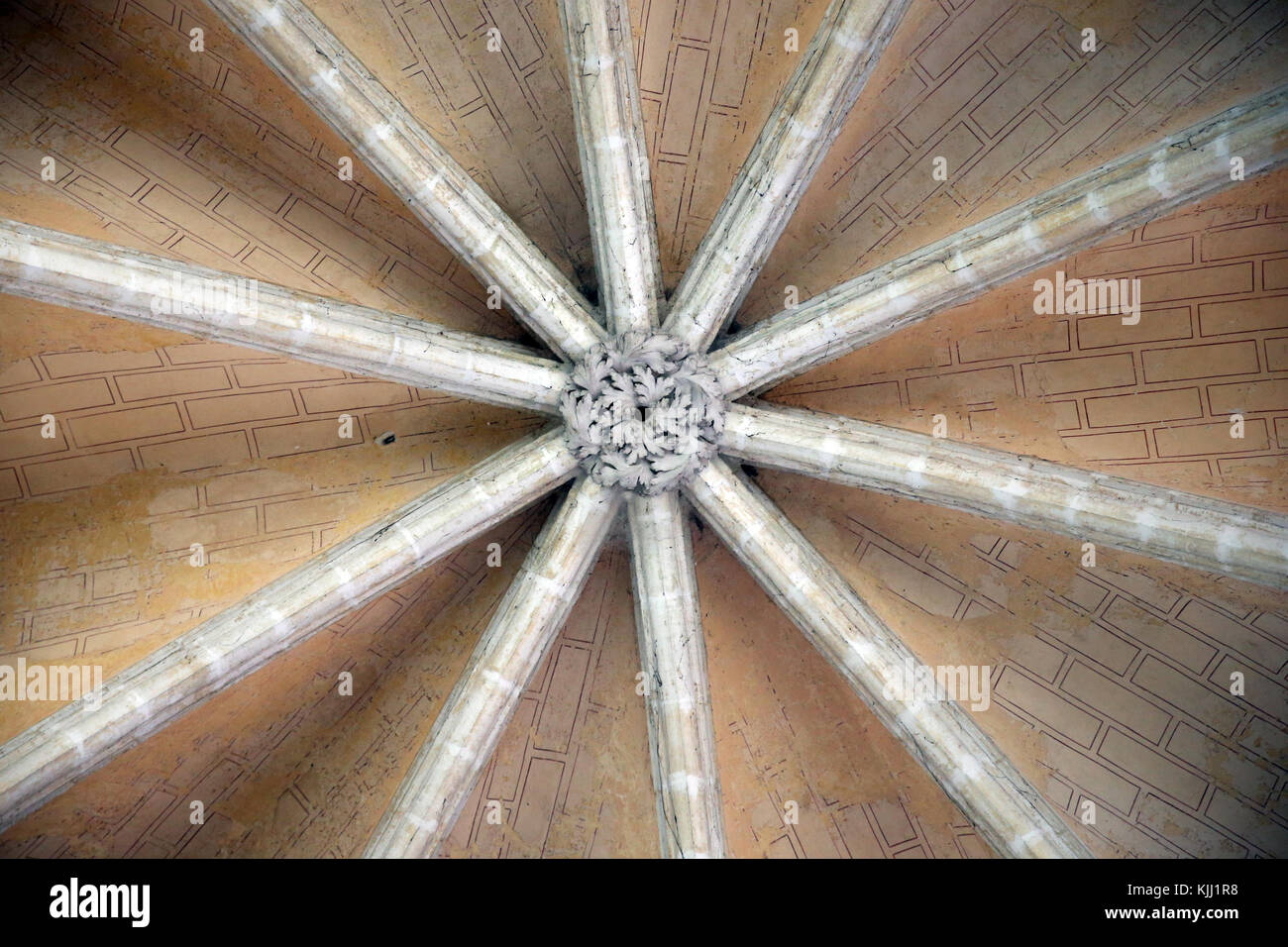 Die Abtei von Saint-Germain d'Auxerre. Keystone und zehn gotischen Bögen. Frankreich. Stockfoto