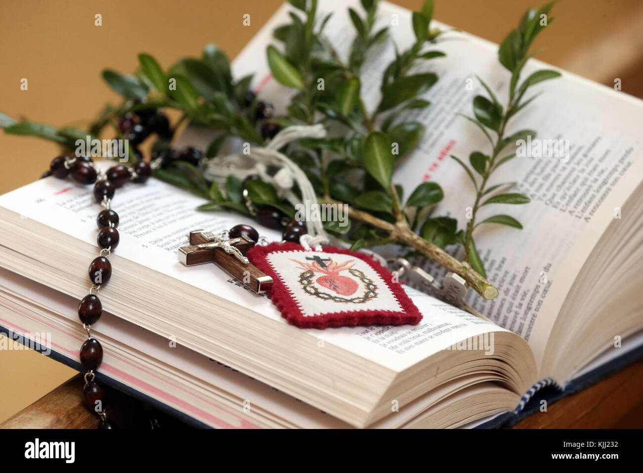 Heilige Woche. Palmsonntag Feier. Bibel und Buchsbaum. Saint Nicolas de Veroce. Frankreich. Stockfoto