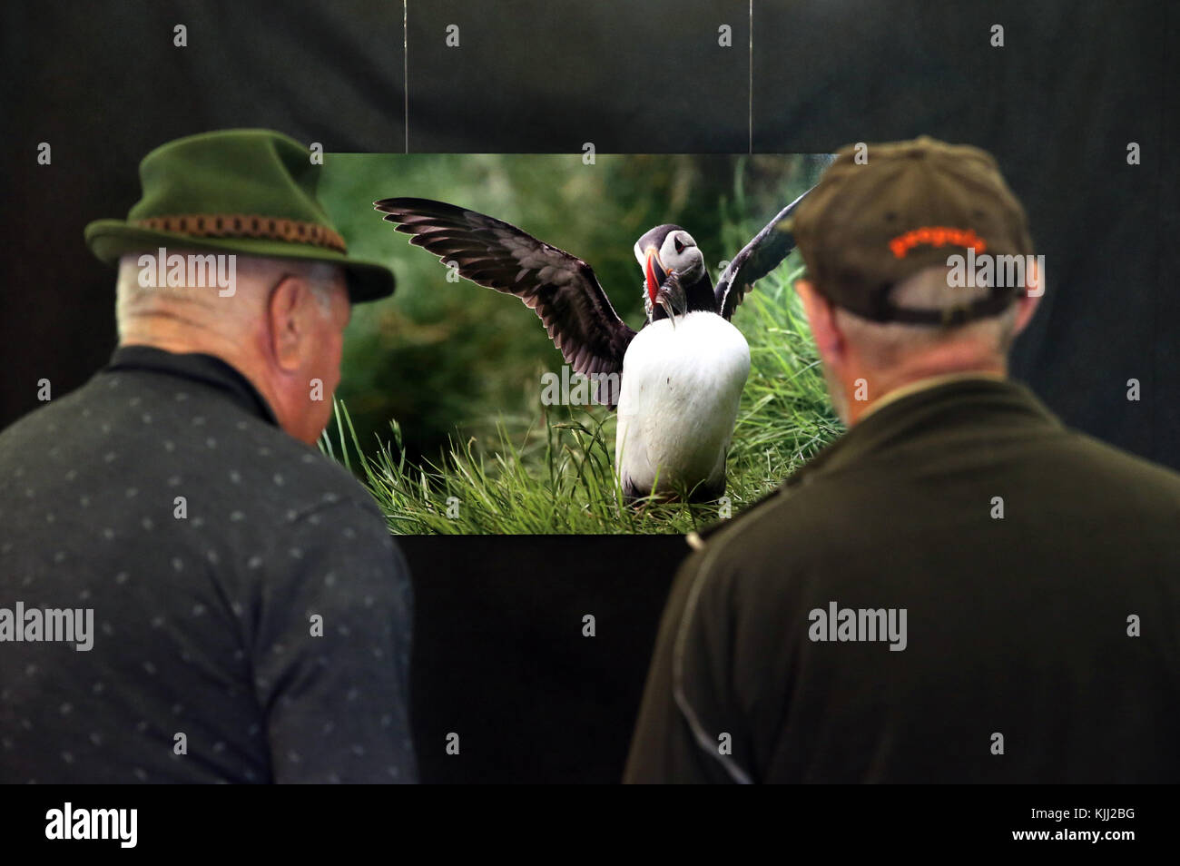 Numericus Schwerpunkt Fotografie Club. Foto Ausstellung. Frankreich. Stockfoto