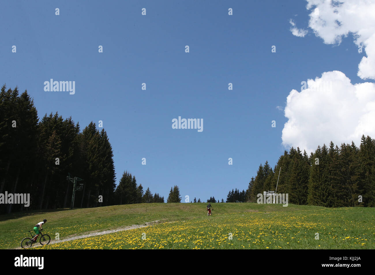 Mountainbike Rennen in den französischen Alpen. Frankreich. Stockfoto