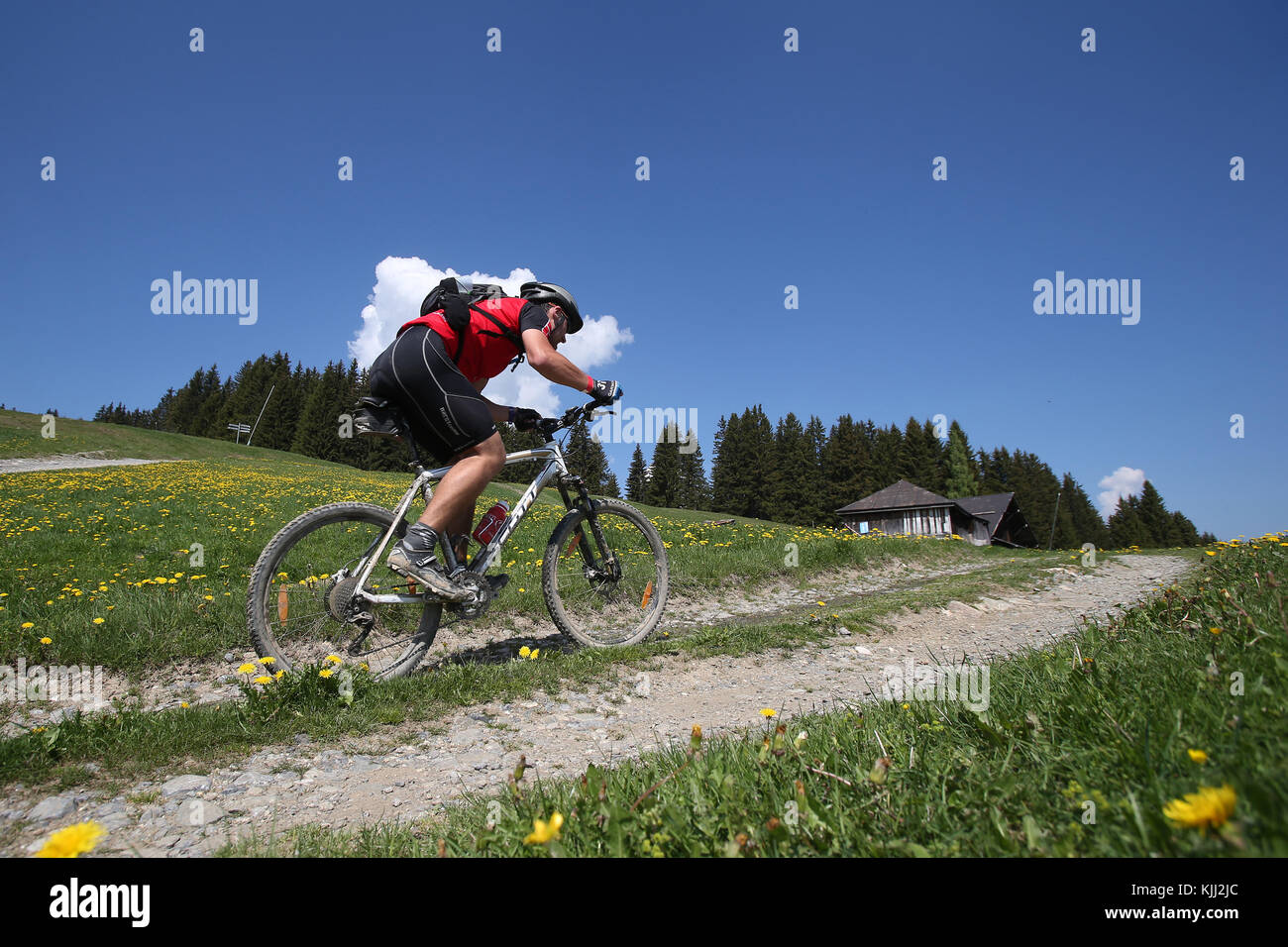 Mountainbike Rennen in den französischen Alpen. Frankreich. Stockfoto