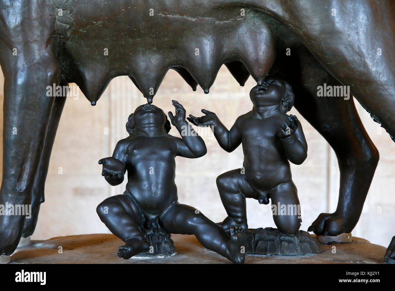 Die Kapitolischen Museen, Rom. Sala della Lupa (Halle der Wölfin). Detail der Wölfin. Italien. Stockfoto