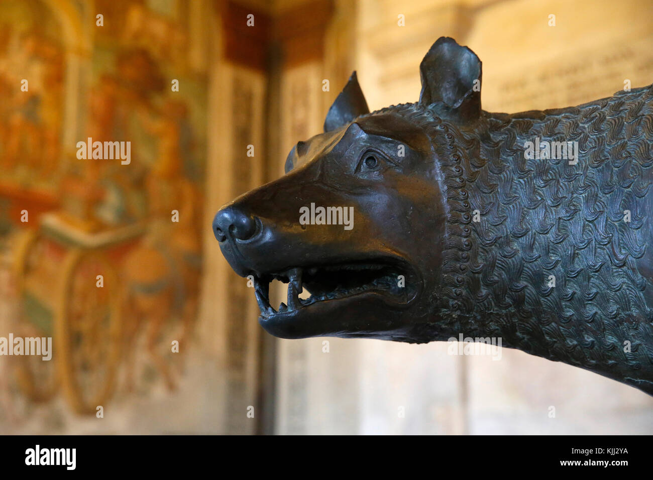 Die Kapitolischen Museen, Rom. Sala della Lupa (Halle der Wölfin). Detail: Kopf der Wölfin. Italien. Stockfoto