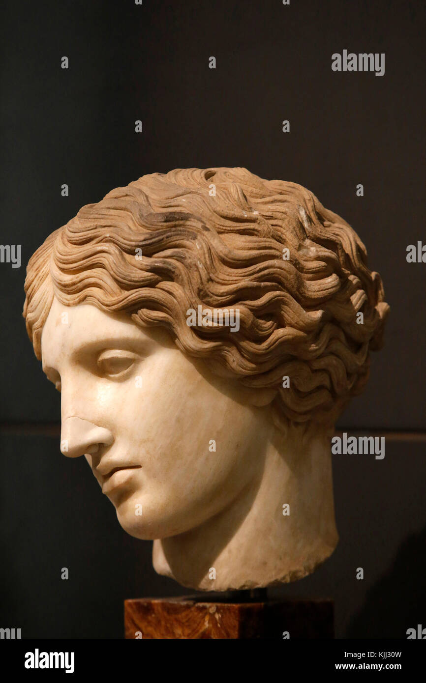 Die Kapitolischen Museen, Rom. Kopf von Amazon. M.C.-Inv. 1091. Griechischer Marmor. Italien. Stockfoto