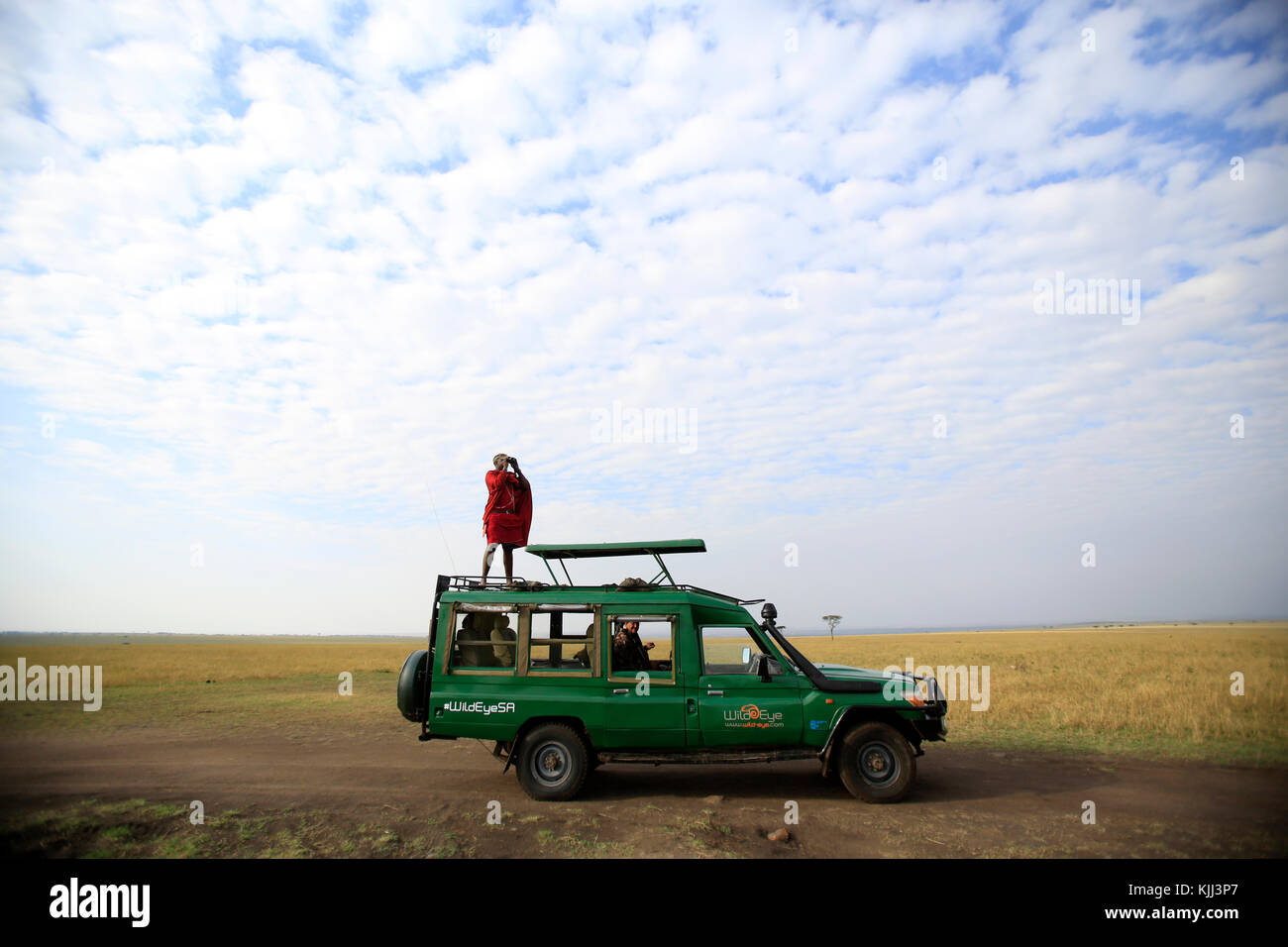 Masai Leitfaden für Spiel durch ein Fernglas auf seinen Toyota Land Cruiser. Masai Leitfaden für Spiel auf seinen Toyota Land Cruiser. Masai M Stockfoto