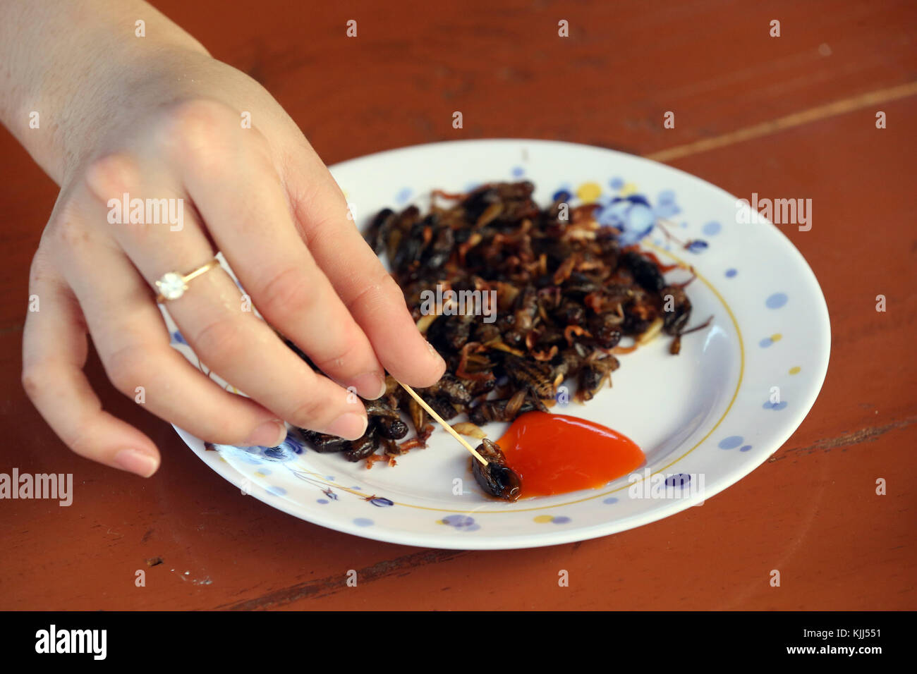 Essbare Insekten. Grillen in der Platte. Dalat. Vietnam. Stockfoto