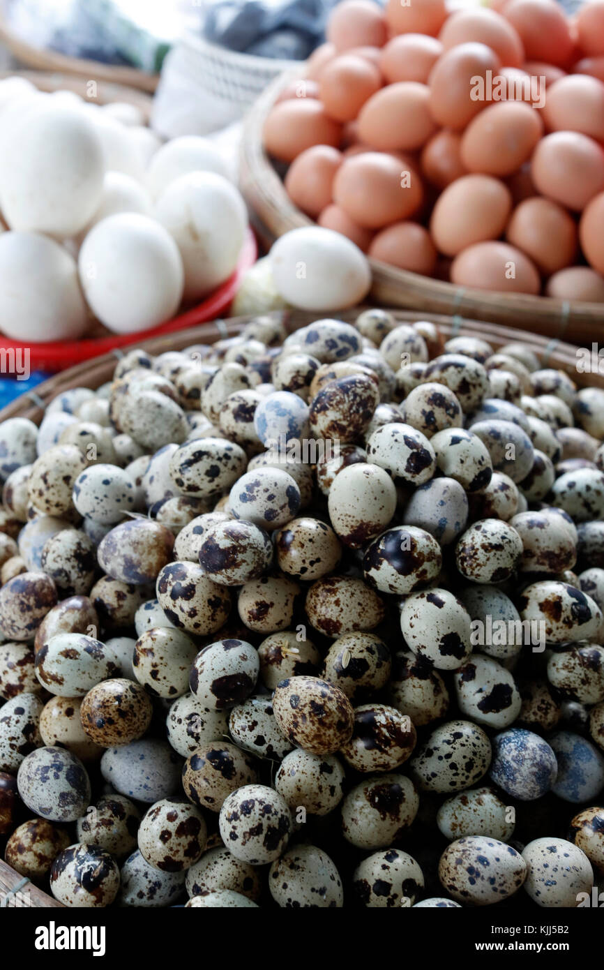 Kon Tum Markt. Wachteleier zum Verkauf. Vietnam. Stockfoto