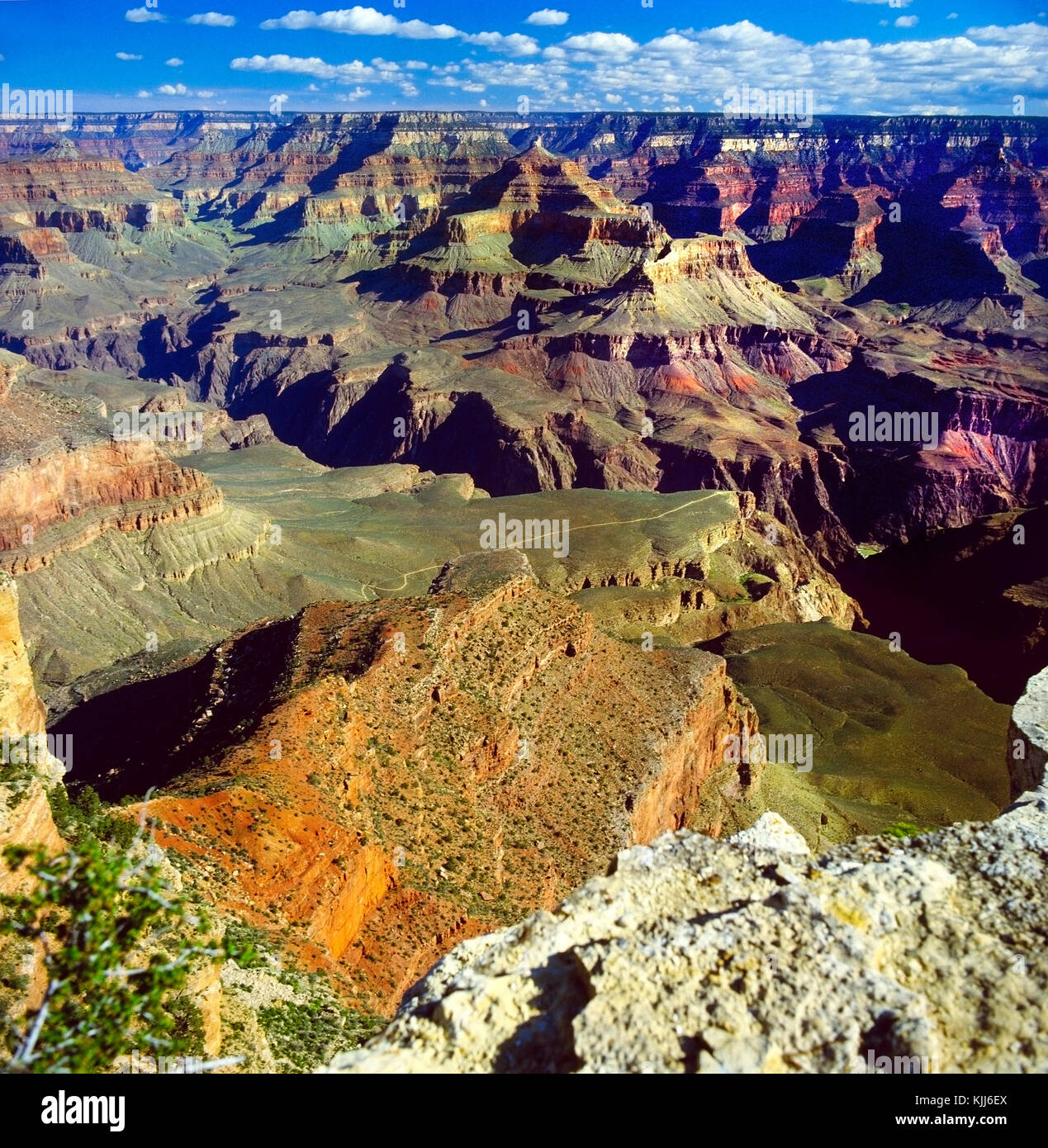 Die Aussicht auf den spektakulären Grand Canyon in Arizona, USA. Stockfoto