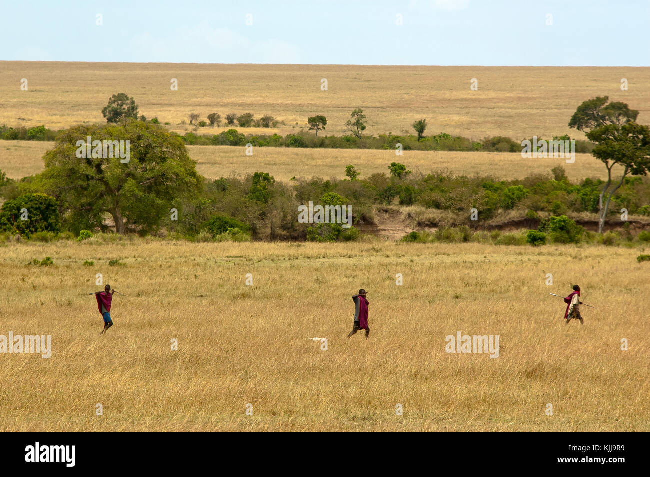 Masai Jungen mit spears Überquerung der großen offenen Flächen in der Masai Mara, Kenia Stockfoto