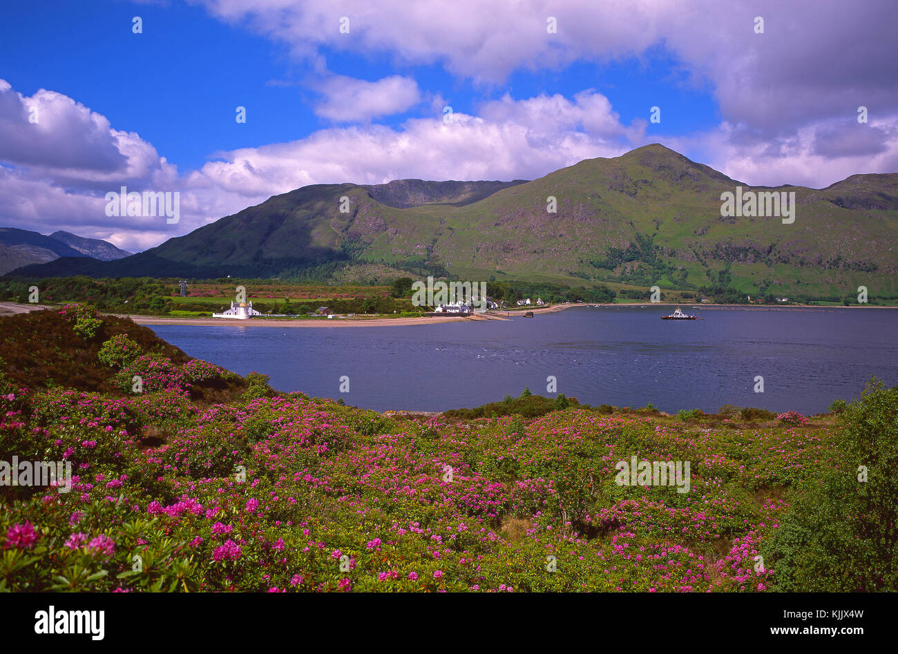 Sommer Blick über die corran Sound nach ardgour, corran, West Highlands Stockfoto