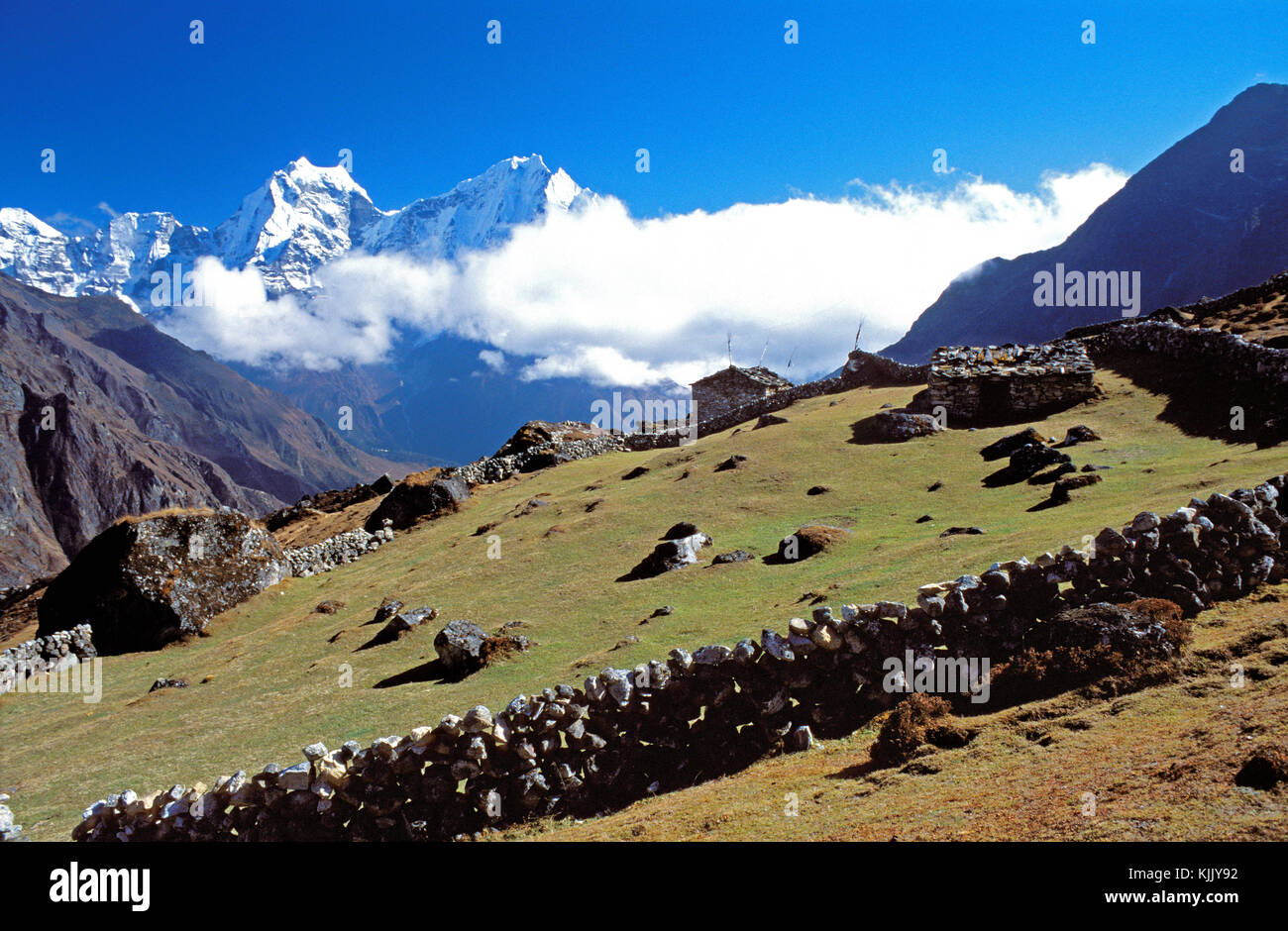 Felder in der Nähe von Lhabarma hghland Dorf, Solu Khumbu. Nepal. Stockfoto