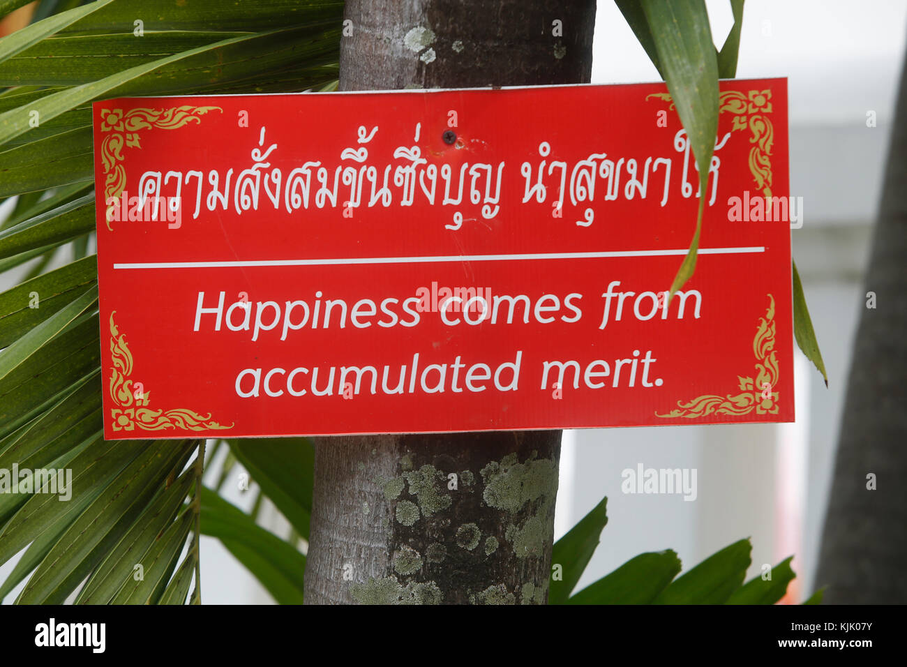 Im Wat Pan Ping, Chiang Mai. Thailand. Stockfoto