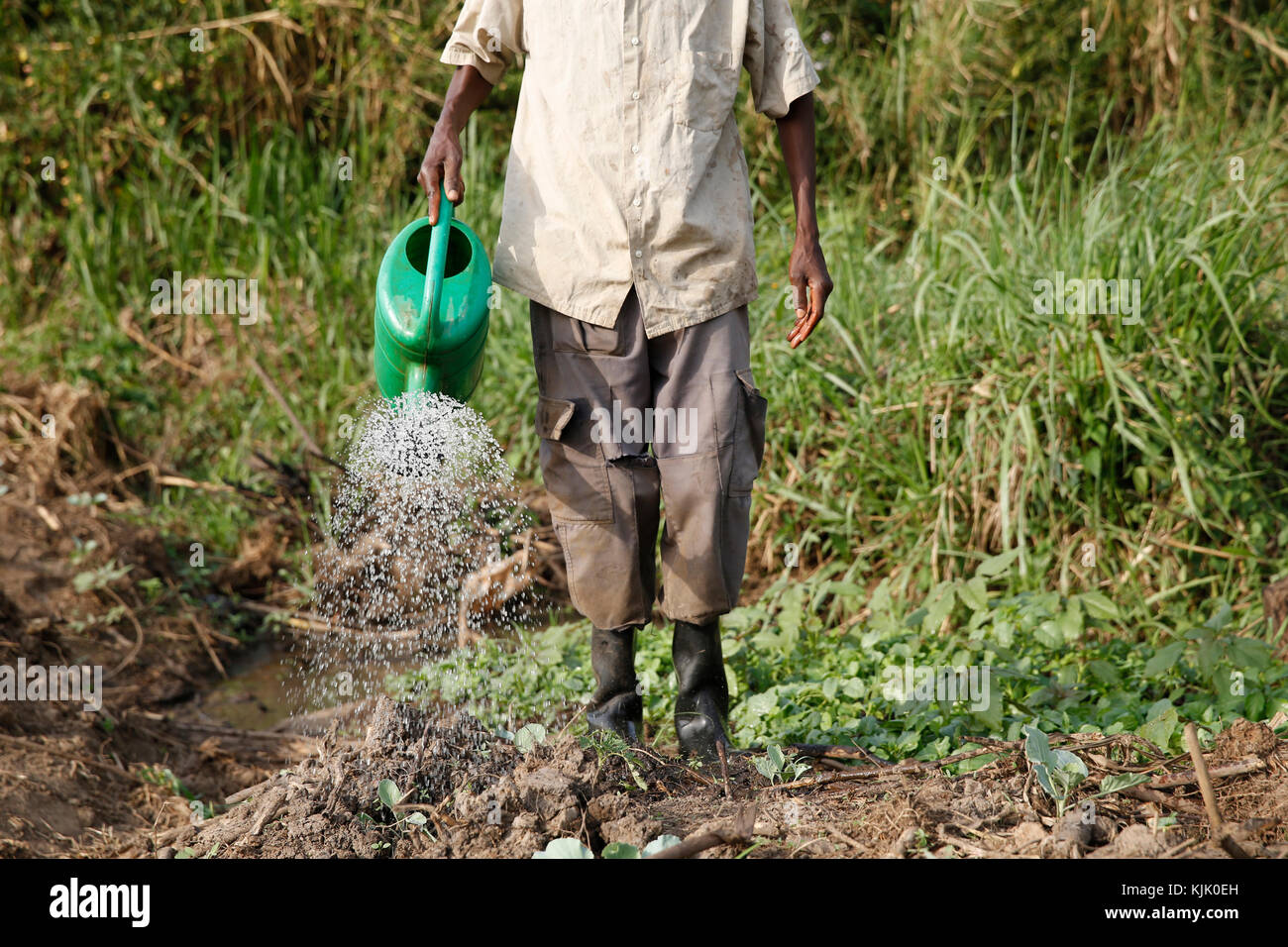 Landwirt Apollo Byarunga erhielt 2 Darlehen aus ENCOT Mikrofinanz. Uganda Stockfoto