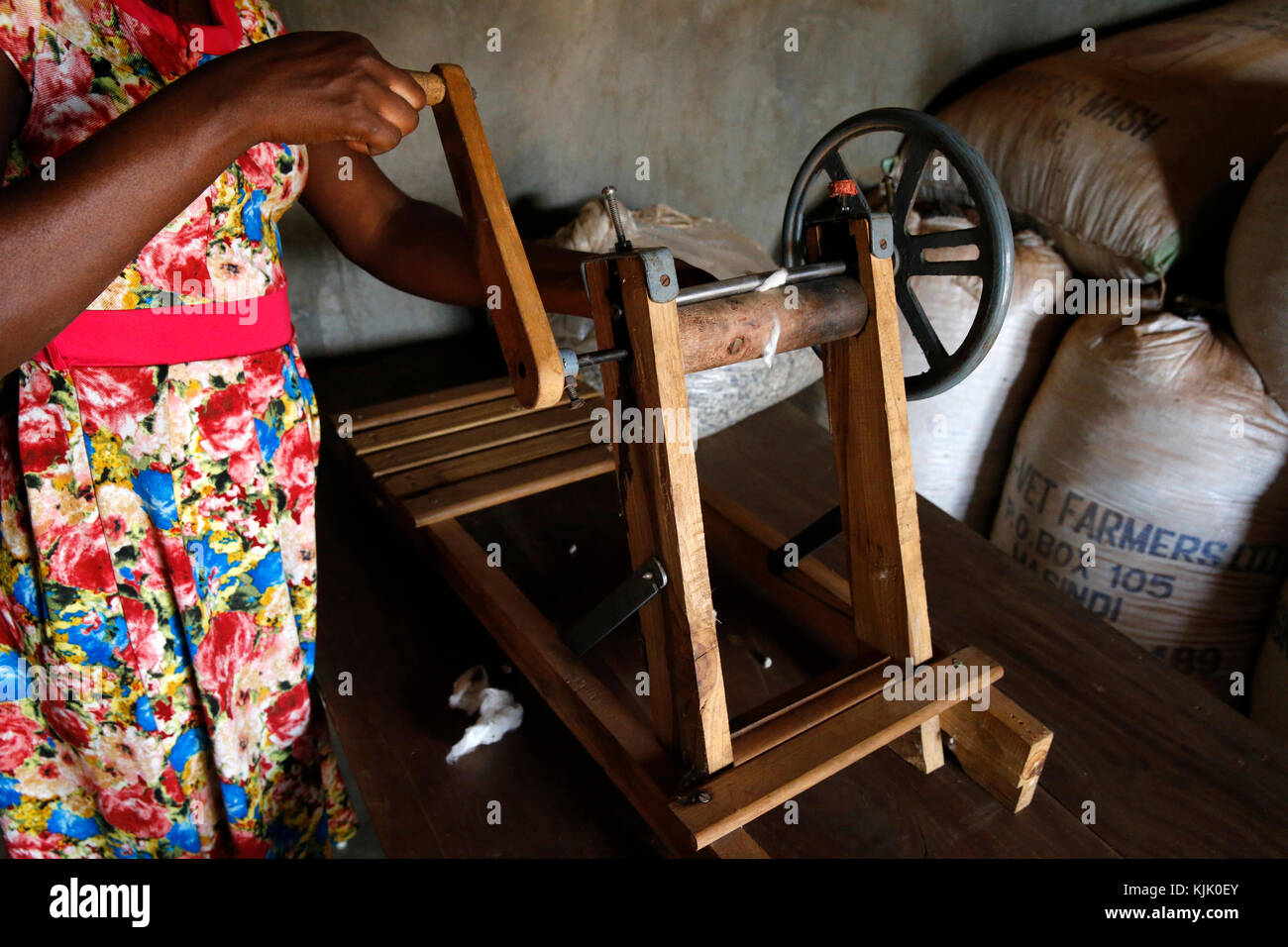 ENCOT Mikrofinanz client Proscovia Tusabe produziert organische Baumwolle. Uganda Stockfoto
