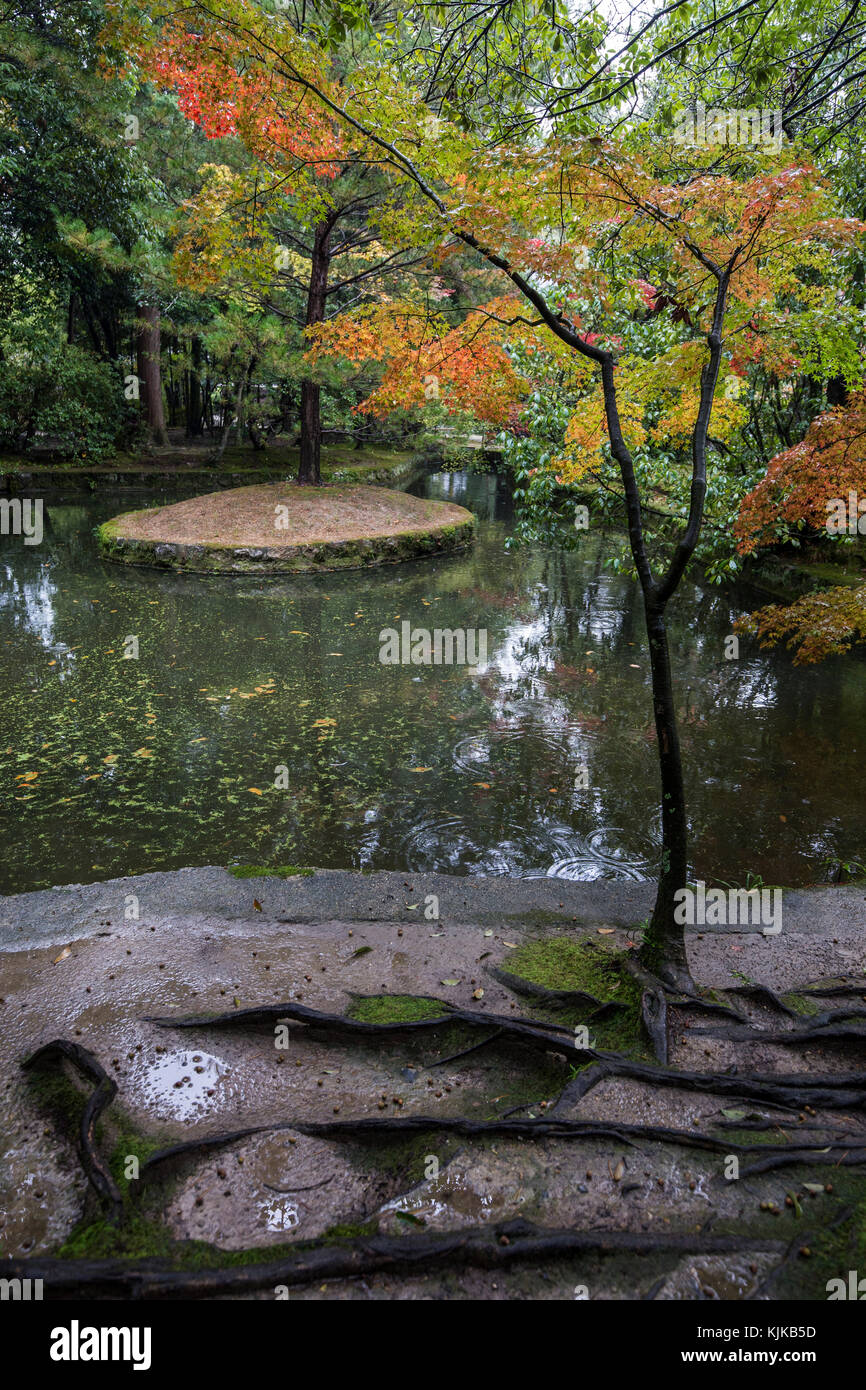Toshodai ji teich garten Fotos und Bildmaterial in hoher Auflösung