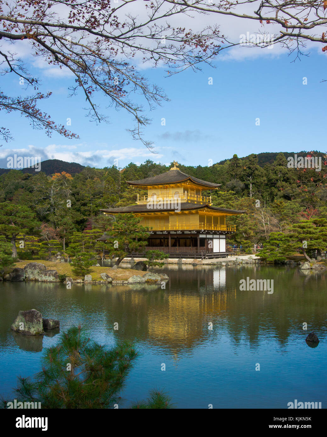 Der Kinkaku-ji-Tempel im Herbst in den Teich widerspiegelt; Bild in Kyoto, Japan. Stockfoto