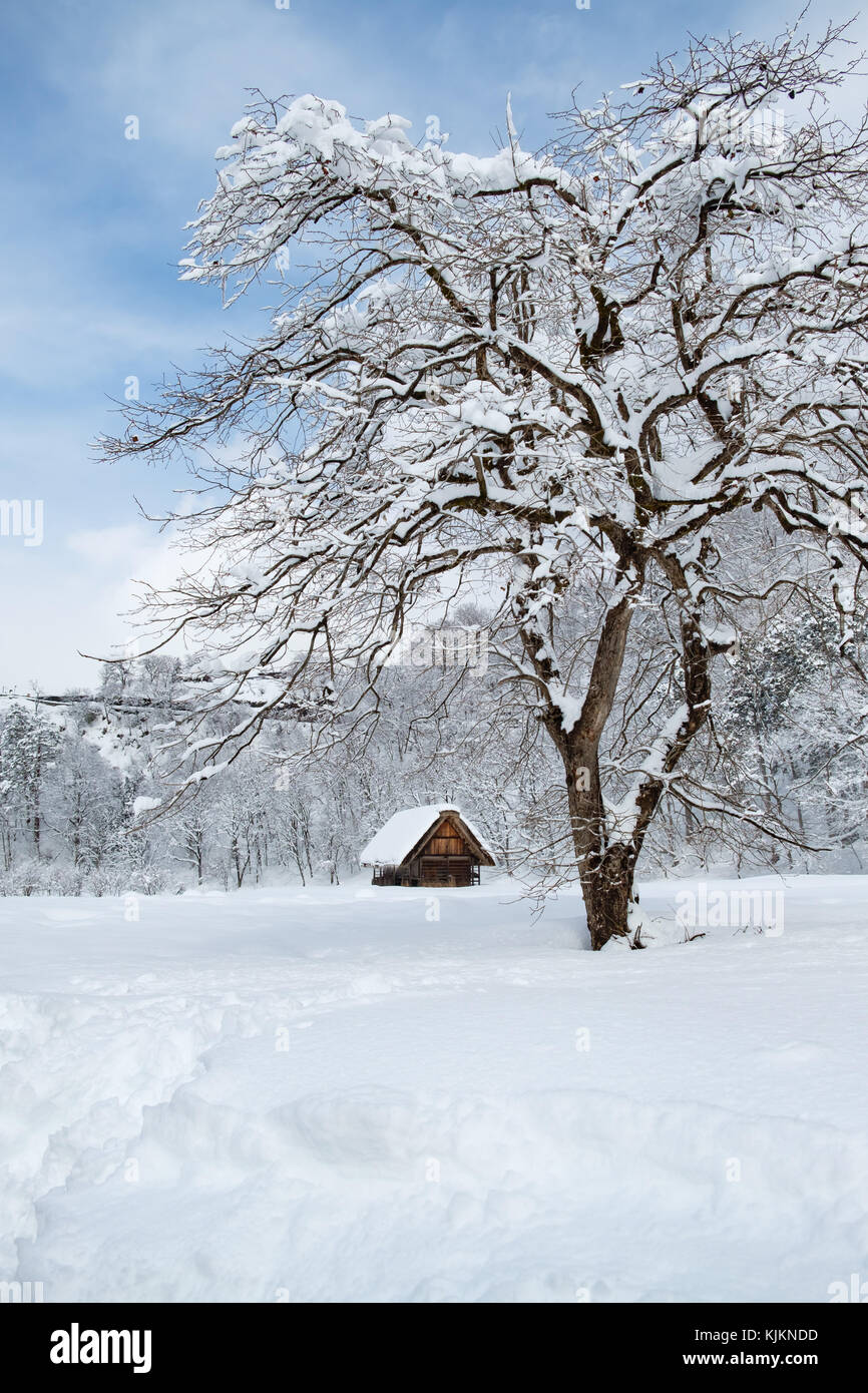 Historische Dörfer von Shirakawa-go und Gokayama, Japan. Winter in Shirakawa-go, Japan. traditionelle Hütten im gassho - Gassho-zukuri Dorf, shirakawago und Stockfoto