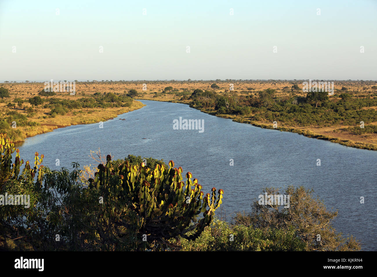 Krüger National Park. Lower Sabie. Südafrika. Stockfoto