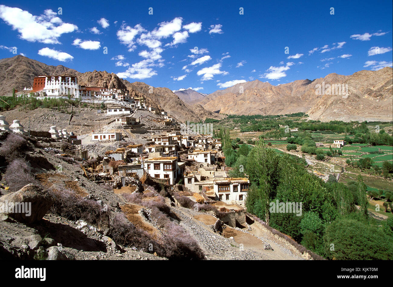 Phyang buddhistisches Kloster und das Dorf. Ladakh. Indien. Stockfoto