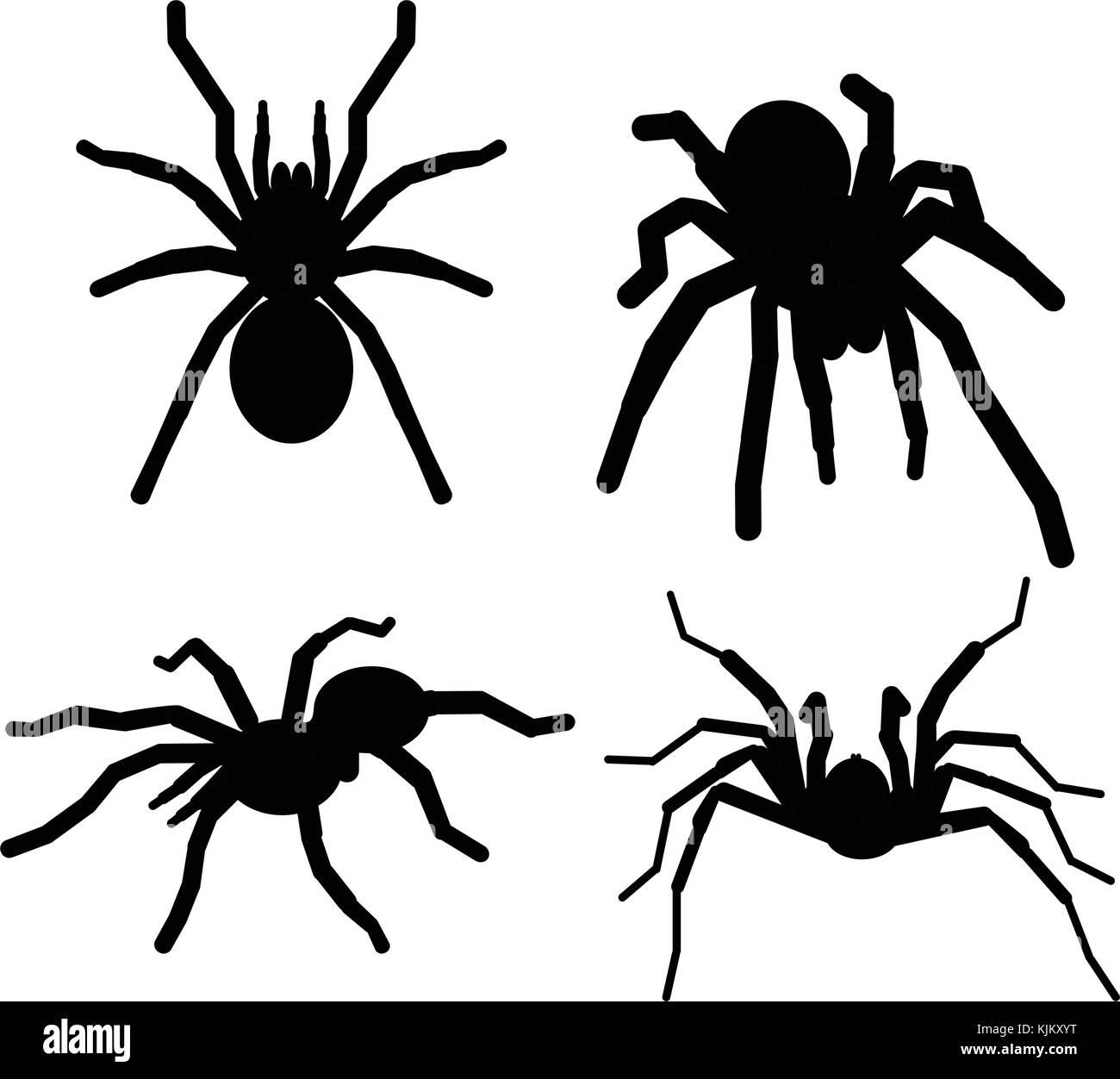 Vektor schwarze Silhouette spider tarantola set Sign Stock Vektor