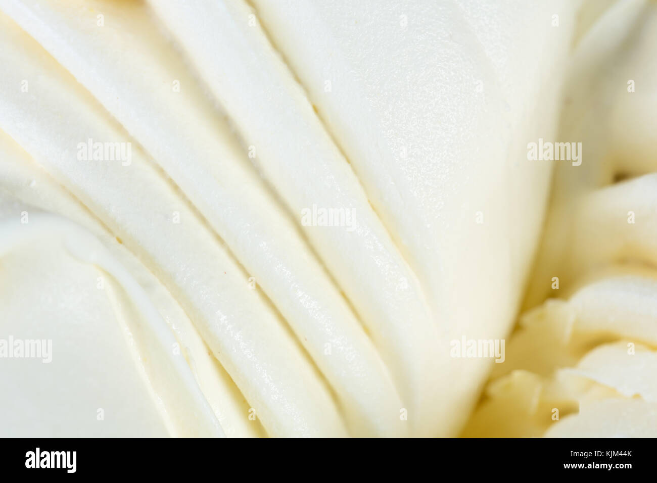 Vanilla Ice-cream Sorbet. Stockfoto