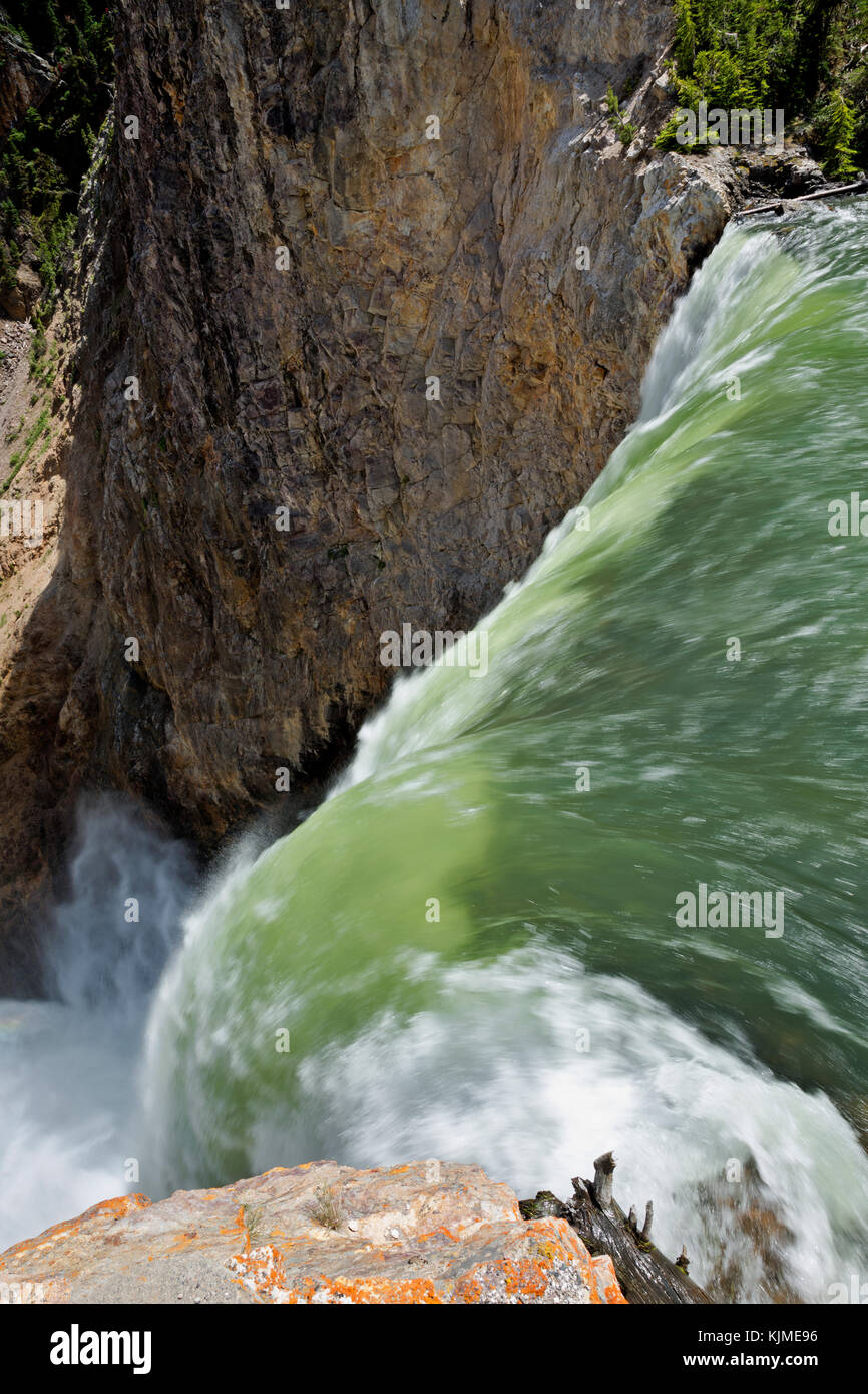 Wy 02645-00 ... Wyoming - Blick auf den Yellowstone River vom Rand des oberen fällt Sicht in den Canyon des Yellowstone National Park. Stockfoto