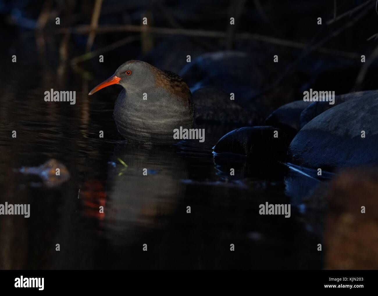 Wasser Schiene im Licht der Morgendämmerung Stockfoto