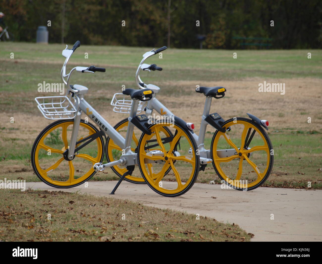 Kricket aus eine Wanderung & Bike Stockfoto