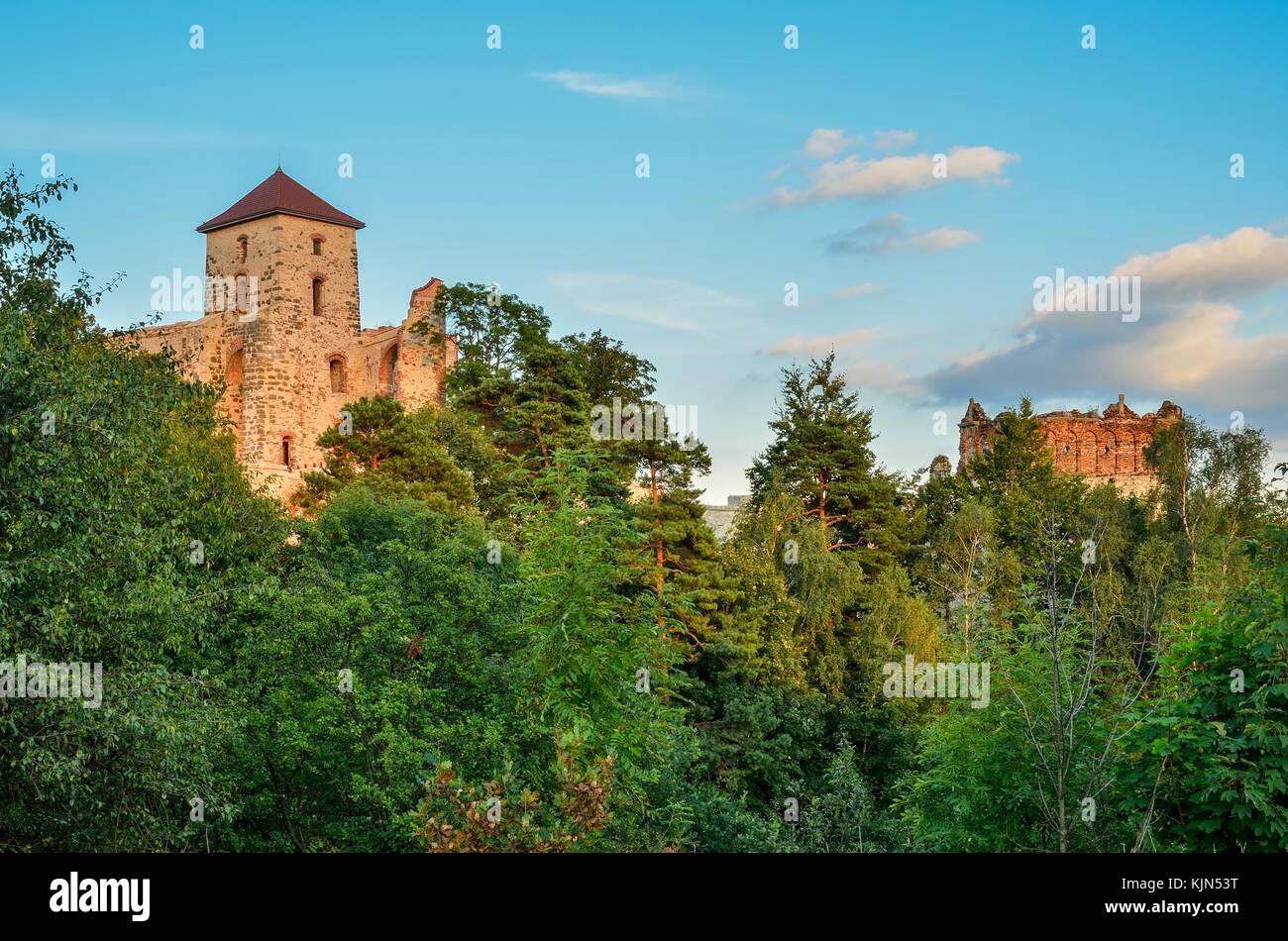 Schönen historischen Burgruine auf einem grünen Hügel. die Ruinen der Burg tenczyn in rudno, Polen. Stockfoto