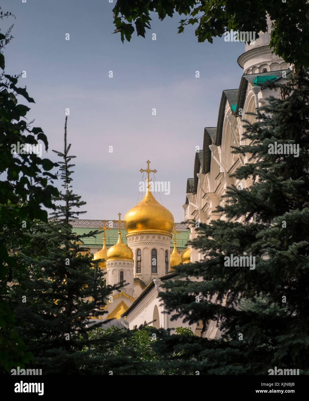 Blick auf die Goldene Kuppel kuppeln durch Bäume im Kreml City Garden, Moskau, Russland Stockfoto