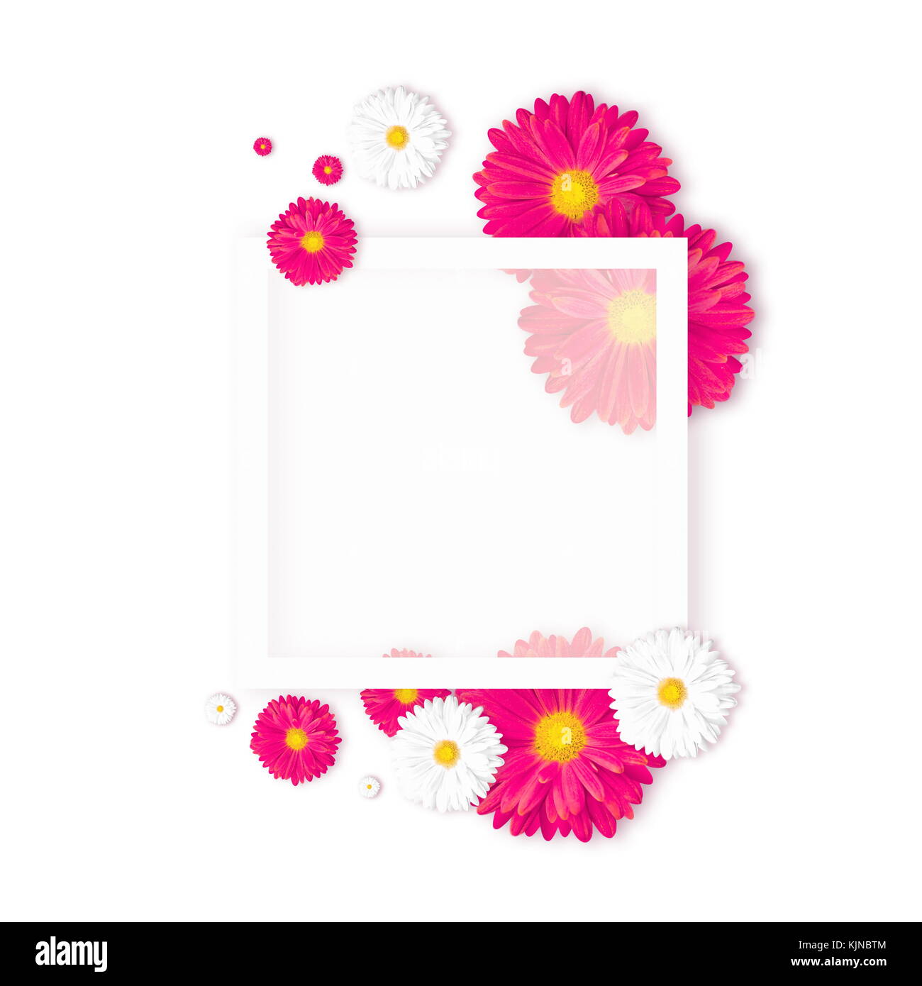 Weißer Hintergrund mit schönen bunten Blume. wallpaper Flyer, Einladungen, Poster, Broschüre gutschein rabatt Stockfoto