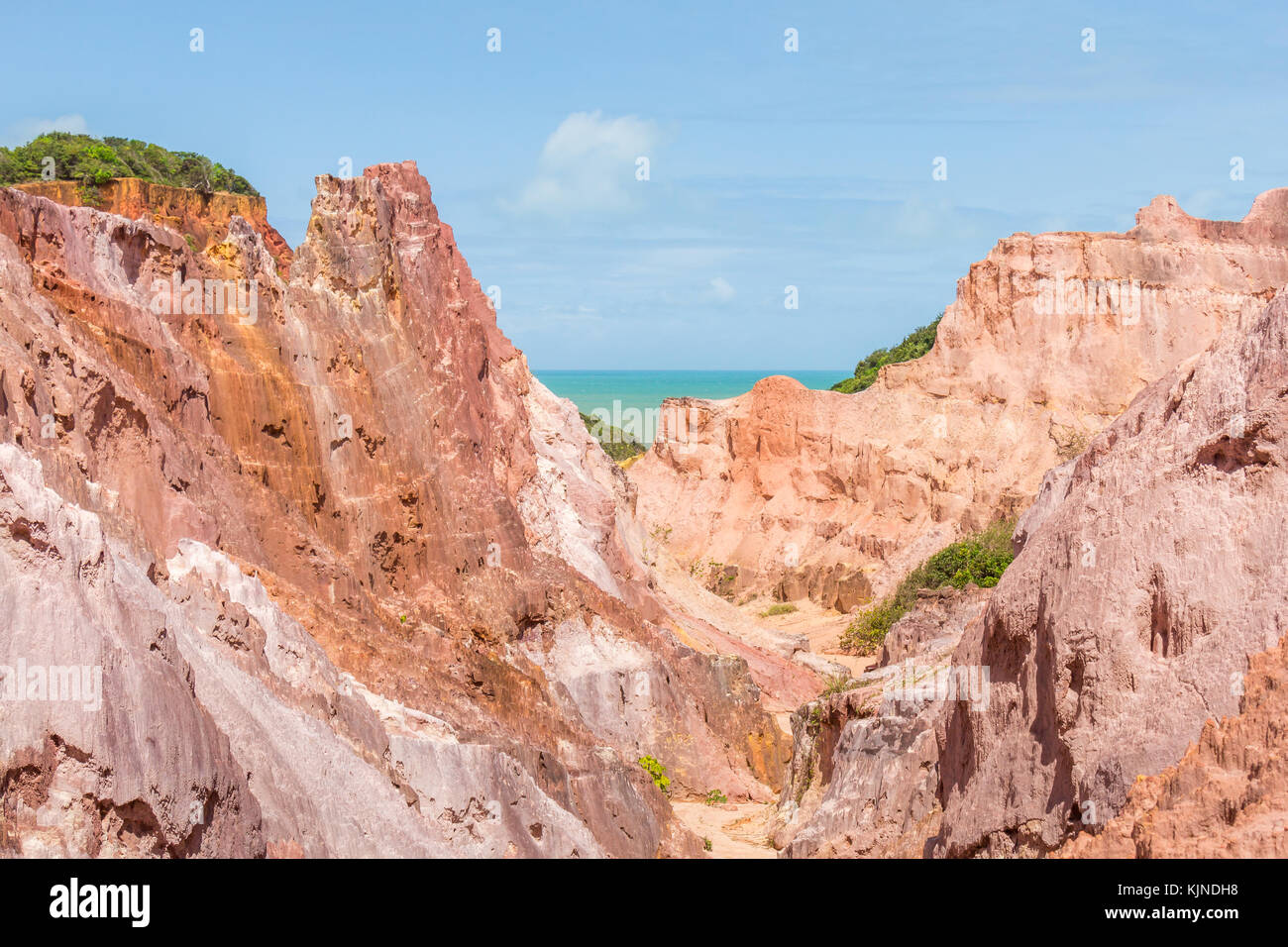 Canyon in Coqueirinho Beach João Pessoa Stockfoto Canyon in Coqueirinho Beach João Pessoa Stockfoto