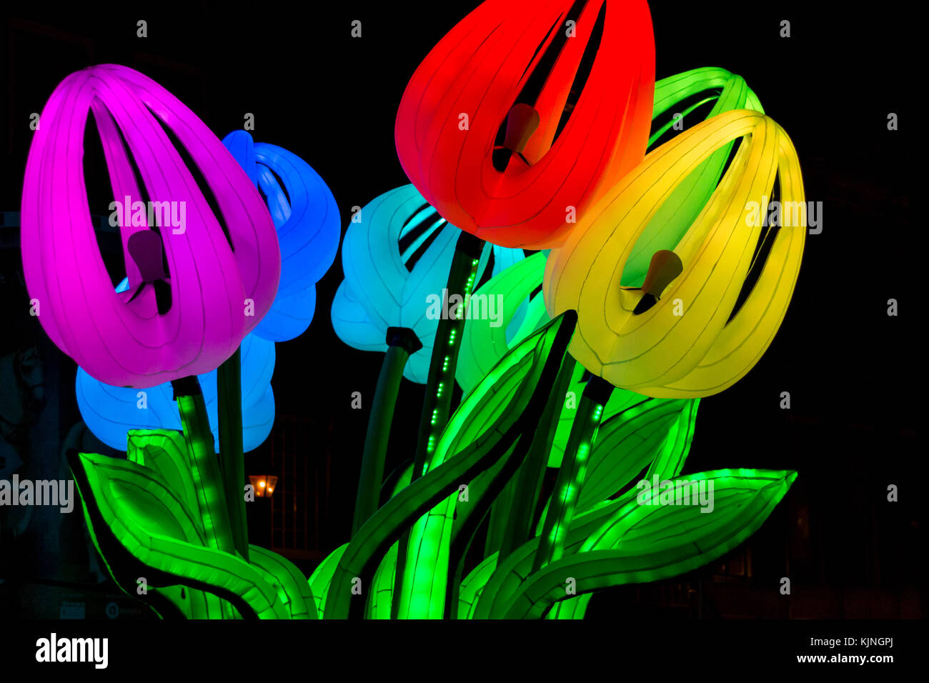 Amsterdam, Niederlande – 14. Januar 2017: Tulpen bei Nacht beim Amsterdam Light Festival Stockfoto