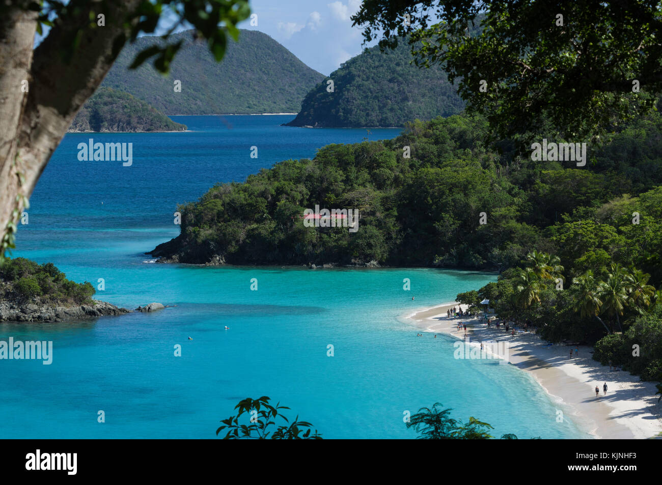 Trunk Bay übersicht, St. John, US Virgin Islands National Park Stockfoto