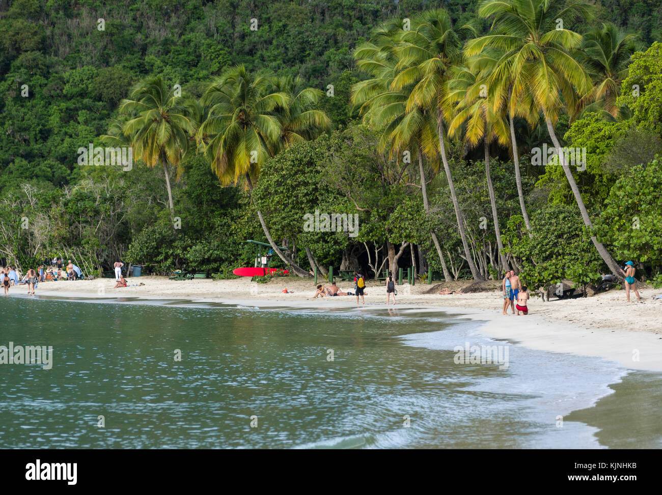 Am Strand von Magen's Bay, St. Thomas, US Virgin Islands Stockfoto