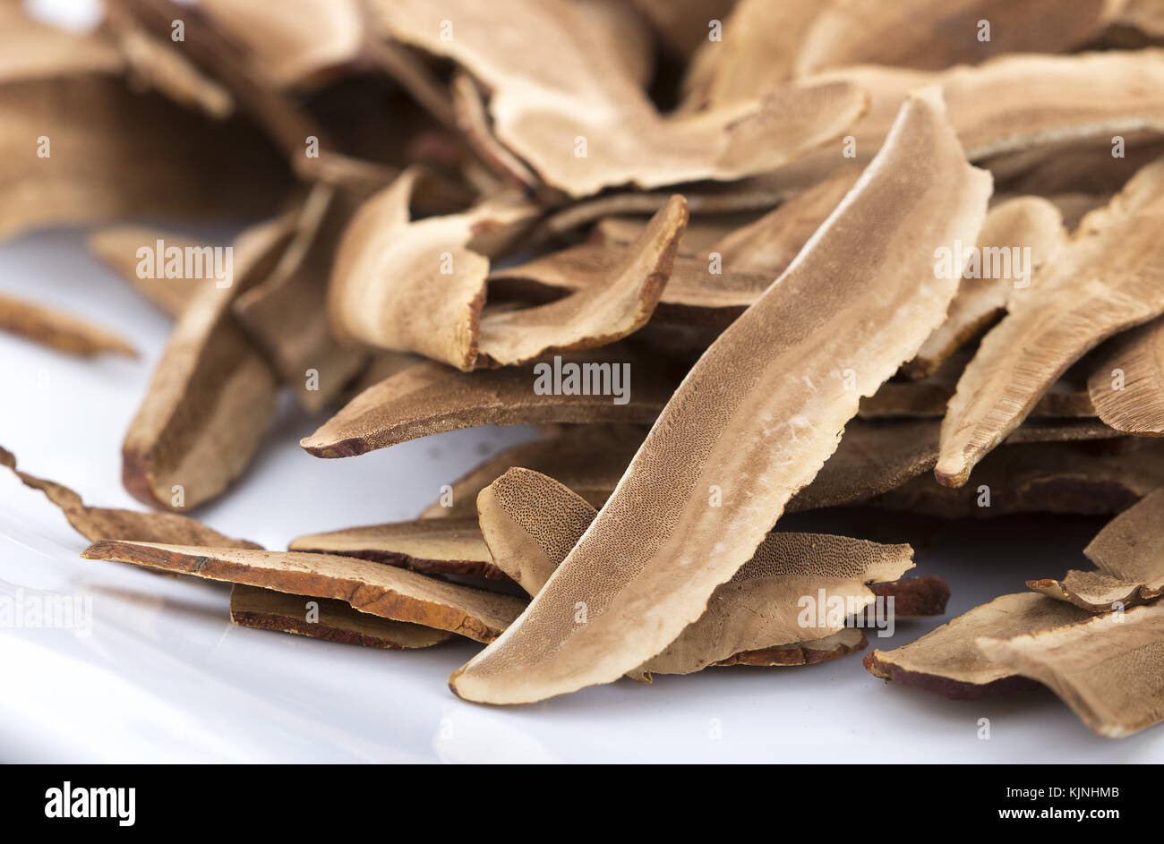 Ganoderma Lucidum - getrocknet in Scheiben geschnittene Pilze bereit für Tee Stockfoto