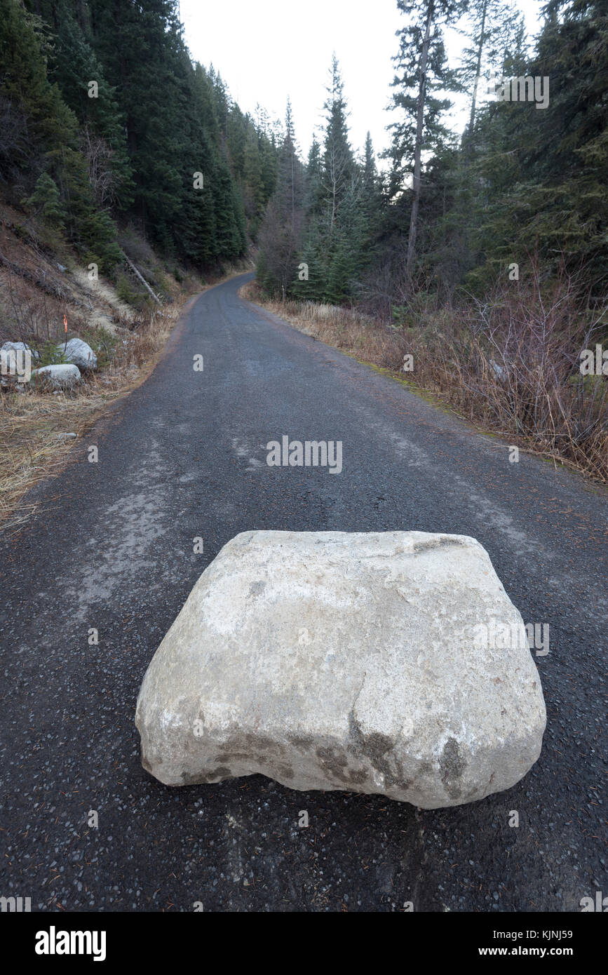 Gefallenen Boulder auf einer Straße in Wallowa - Whitman National Forest, Oregon. Stockfoto