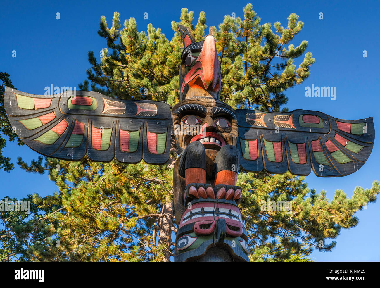 Thunderbird Bild oben der Kwakwaka'wakw Ehren Pole, 1999, von Carver Sean Whonnock und Johnathan Henderson, bei Thunderbird Park, Victoria, Vanc Stockfoto