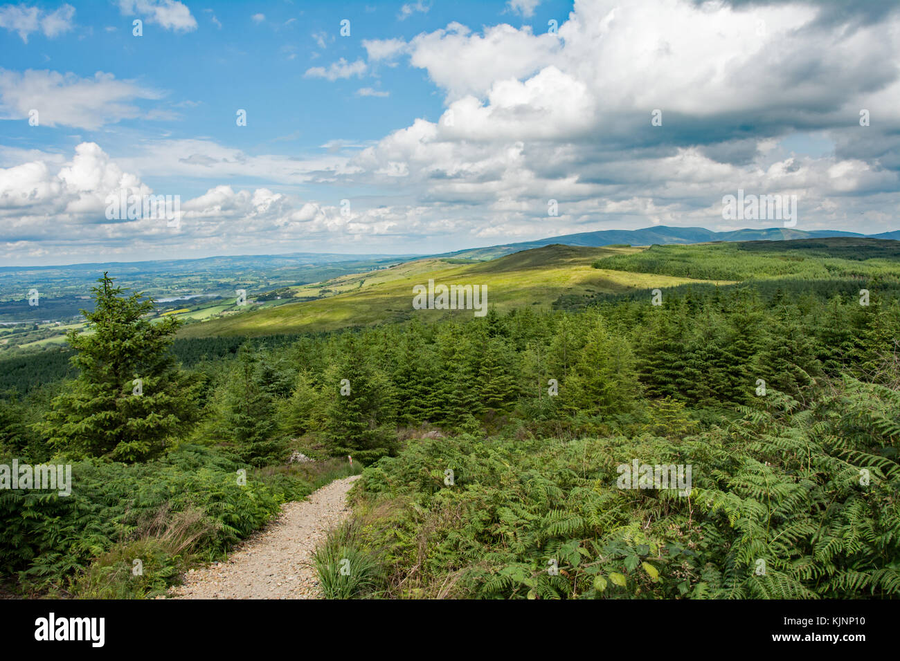 Pfad in irischen Hügel und Berge im Hintergrund Stockfoto