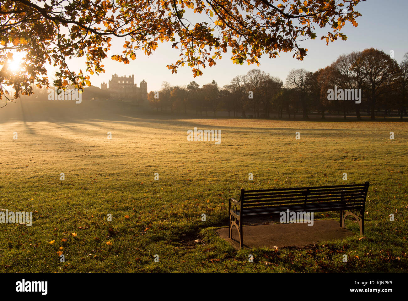 Scharfe Herbst morgen Licht bei wollaton Hall und Deer Park in Nottingham, Nottinghamshire England Großbritannien Stockfoto