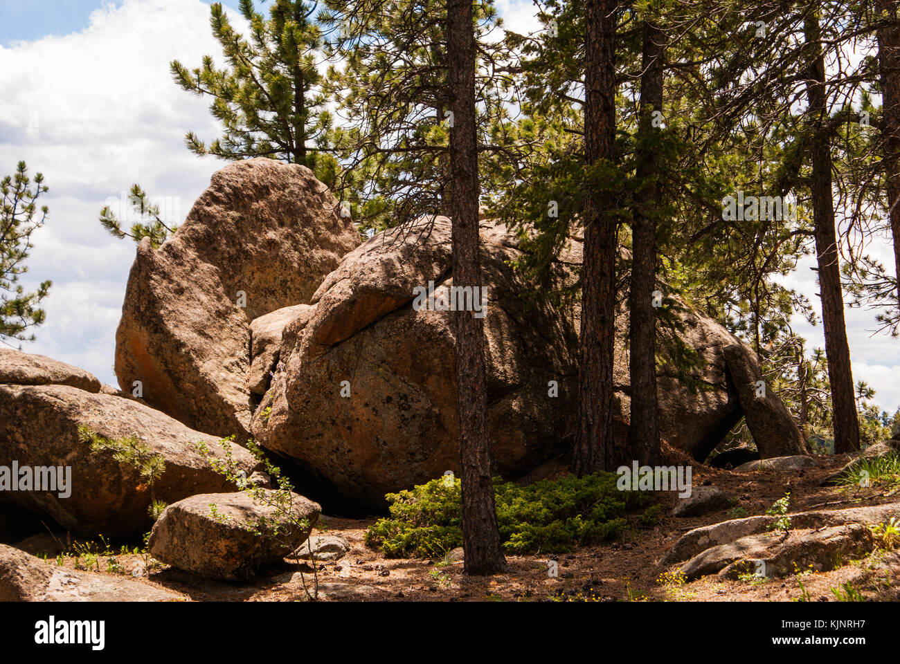 Rocky Mountain National Forest, treffend mit großen Felsbrocken benannt. Stockfoto