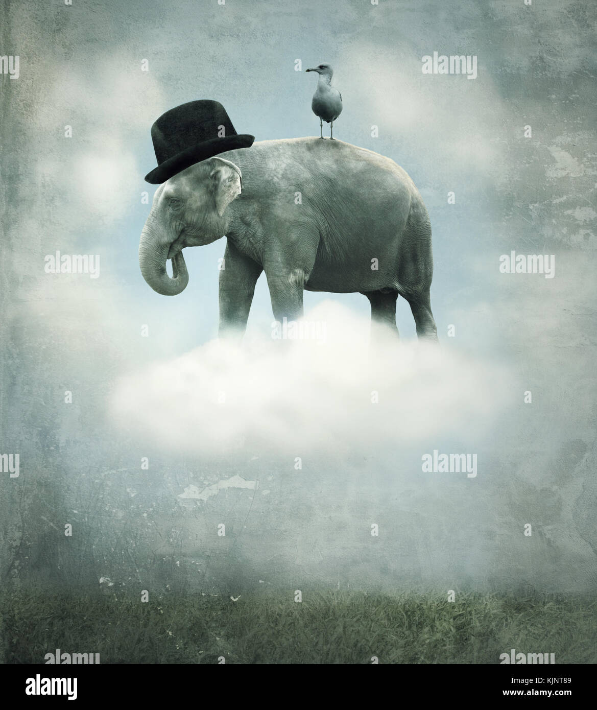 Fantasy surrealistischen Hintergrund mit einem Elefant mit Hut und eine Möwe, die Fliegen auf einer Wolke in den Himmel Stockfoto